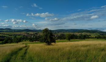 Blick auf den Höhenzug der Schwarzen Berge im Süden der Rhön