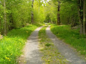 Gravelstrecke in der Rhön